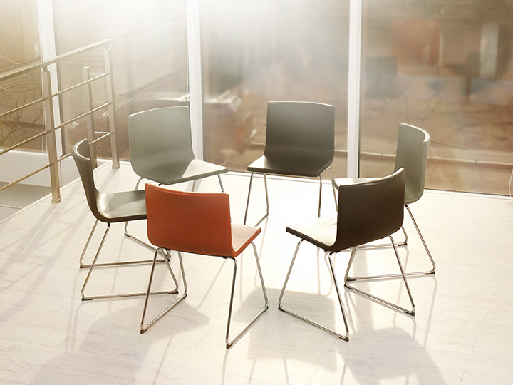 Modern chairs arranged in a circle in a warm sunlit room.