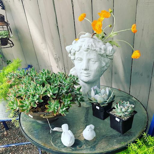 Small circular patio table featuring arrangement of succulents, flowers, and small decorative statuary.